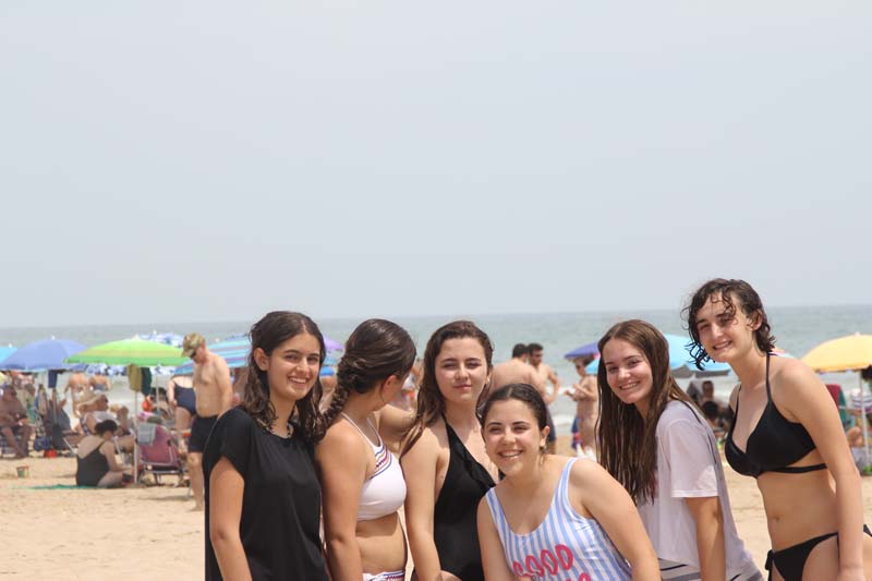 dia2_d (4)