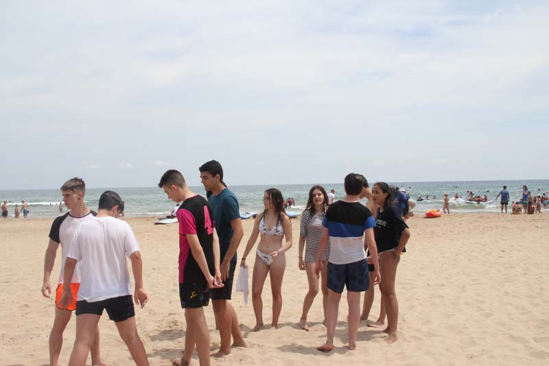 dia2_d (7)