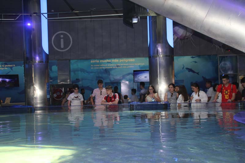 dia4_b (6)