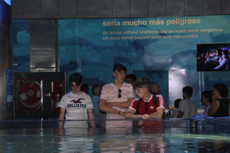 dia4_b (7)