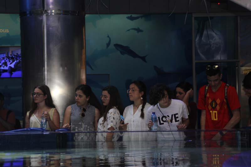 dia4_b (8)