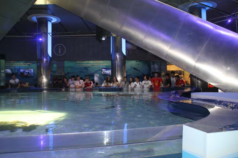 dia4_c (1)