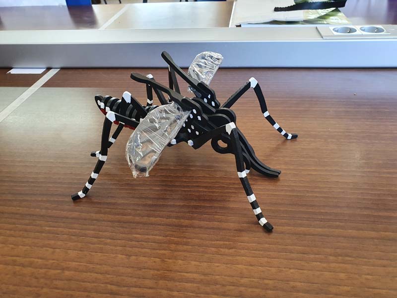 mosquitos (2)