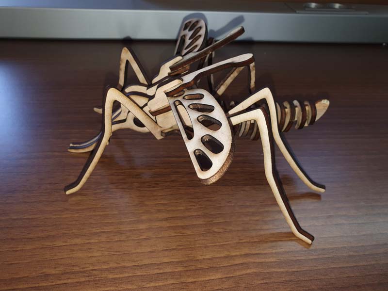 mosquitos