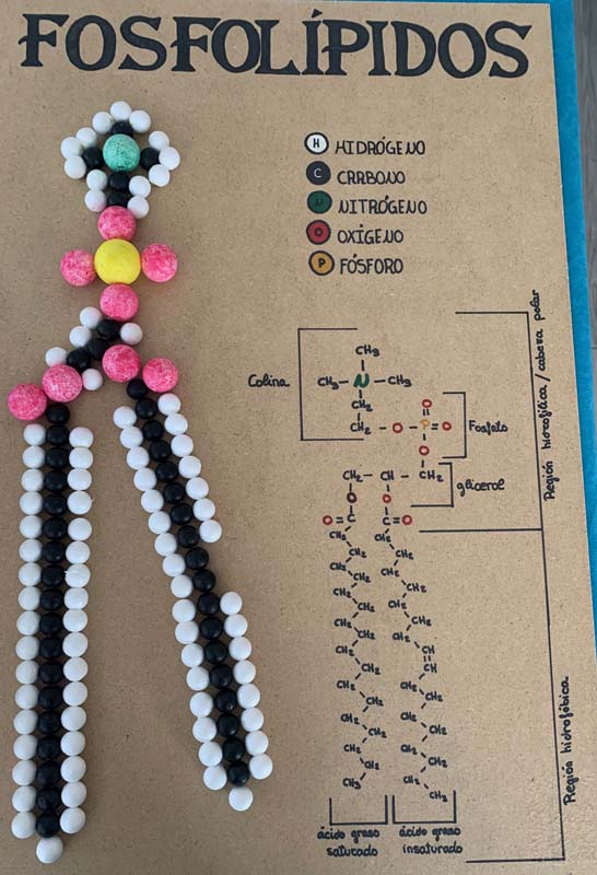 bio (2)