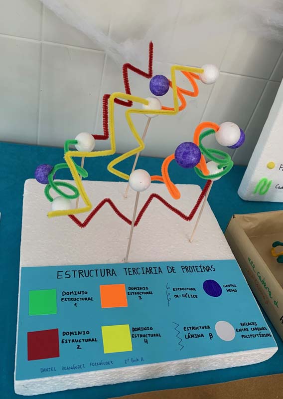 bio (4)
