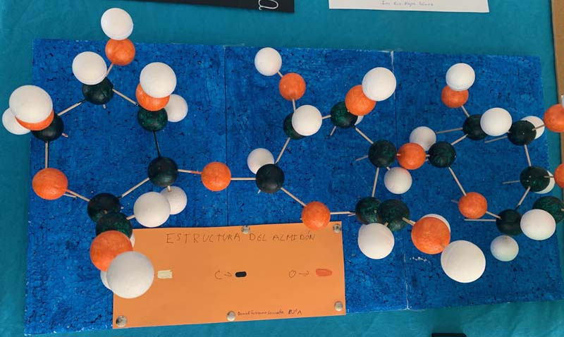 bio (7)