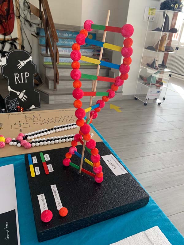 bio (8)