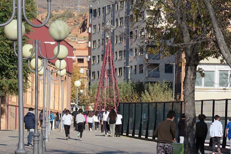 palma_b (5)