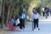 palma_d (1)