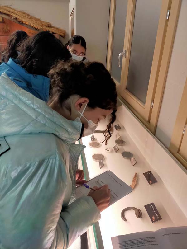 museo_c (3)