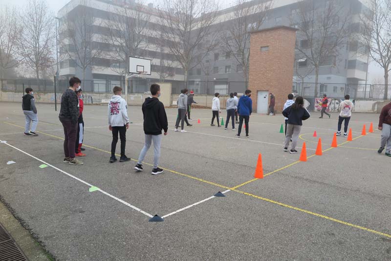 d_taler (5)