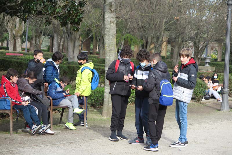 pamplo_a (2)