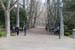 pamplo_a (3)