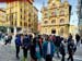 pamplo_c (4)