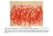 05_CY TWOMBLY