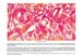 16_LEE KRASNER