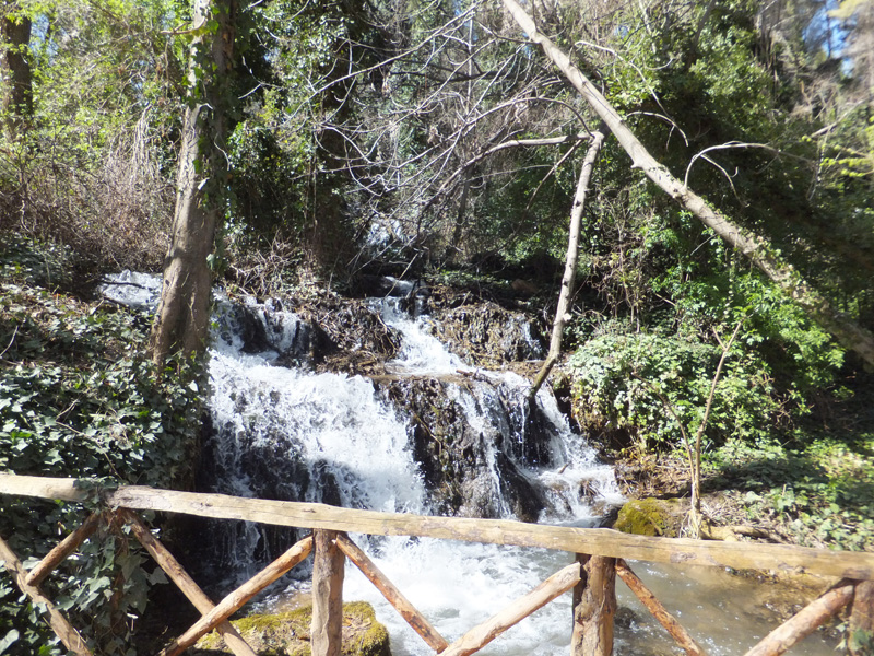 m_piedrad (4)
