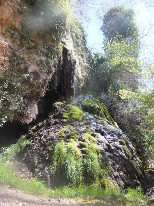 m_piedrag (3)