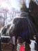 m_piedrac (5)