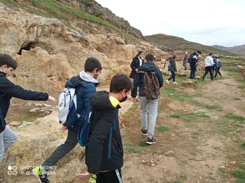 leu_i (4)