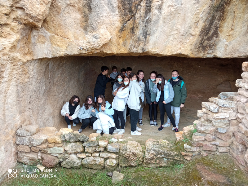 leu_i (6)