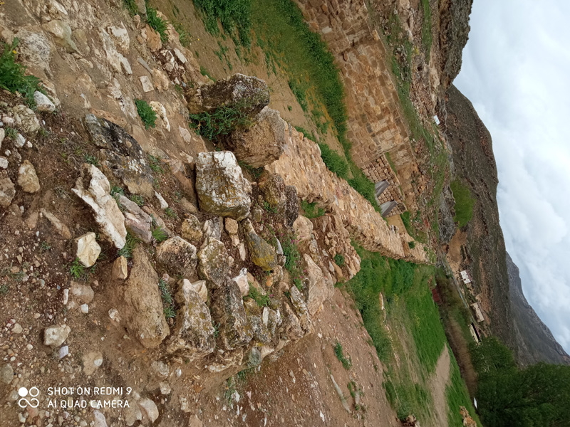 leu_j (1)