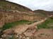 leu_d (1)