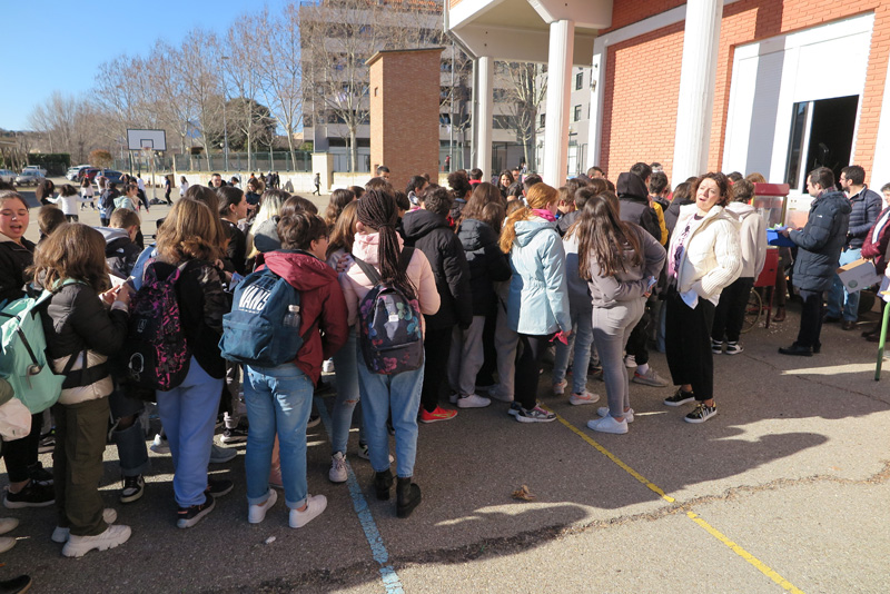 paz_b (6)