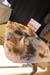 habi_d (5)