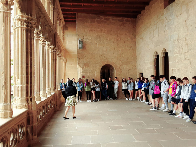 olite_a (1)