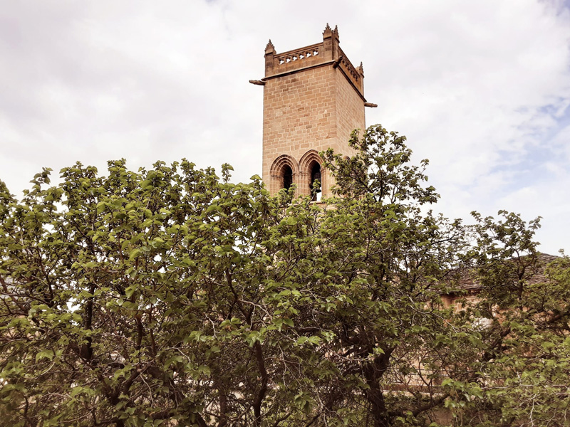 olite_a (2)