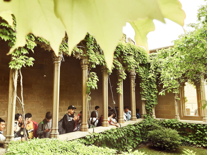 olite_a (7)