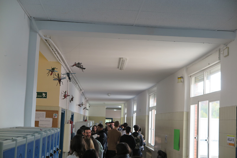 cshs_b (1)