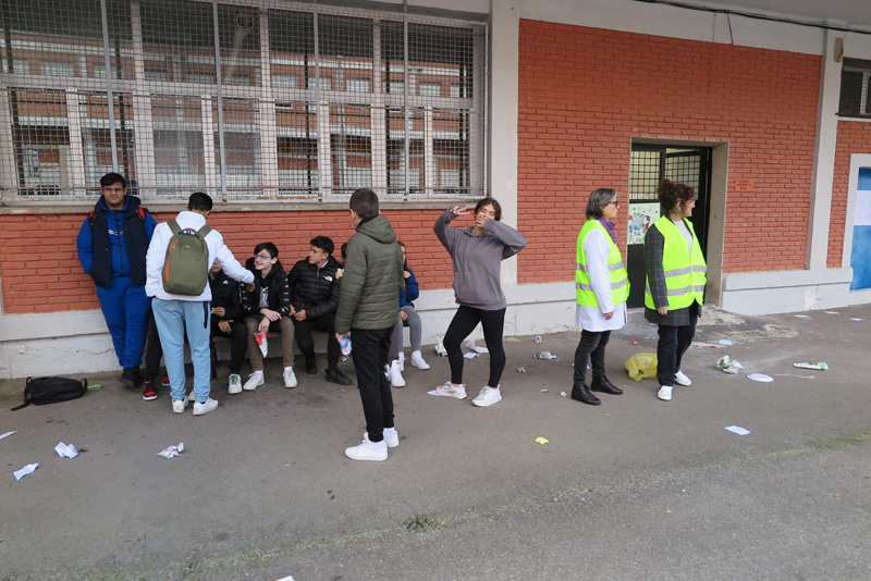 cshs_d (1)