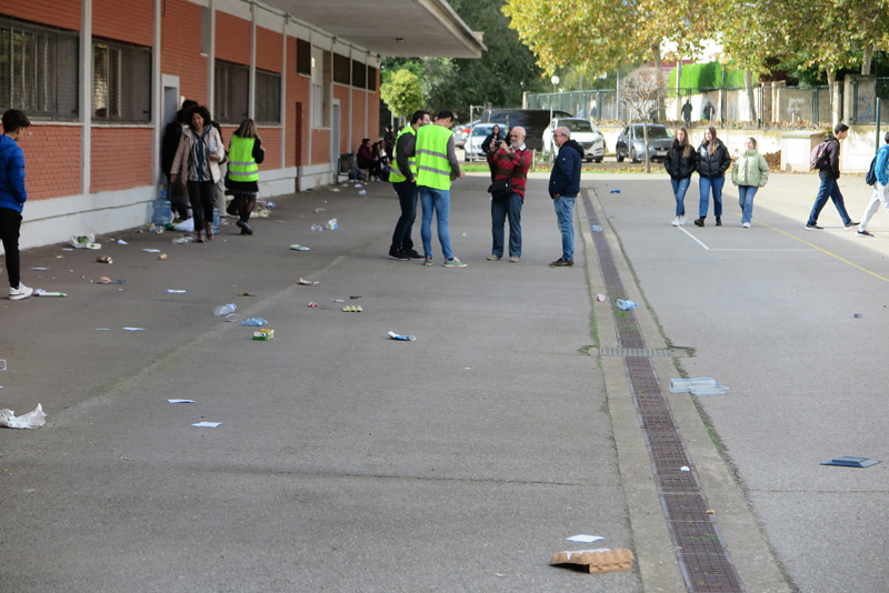 cshs_d (3)