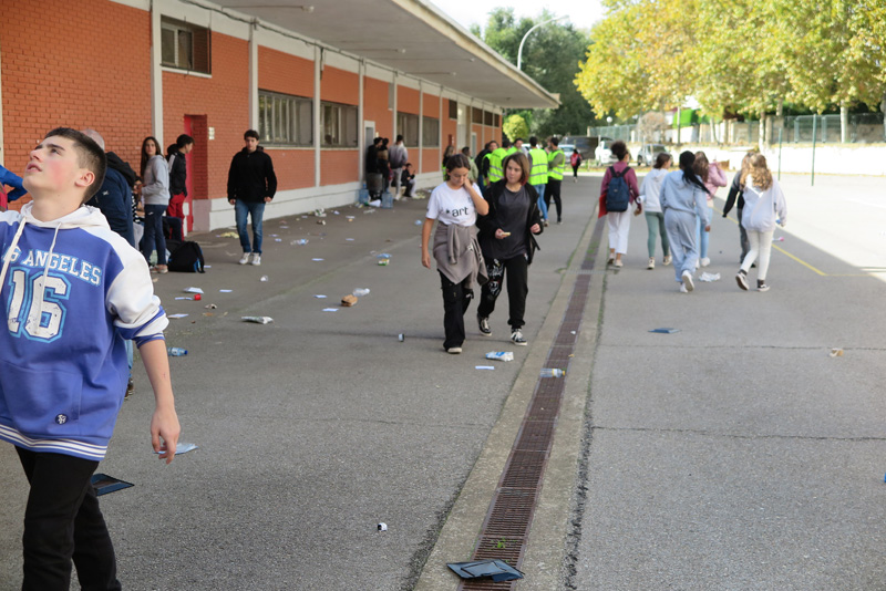 cshs_d (4)