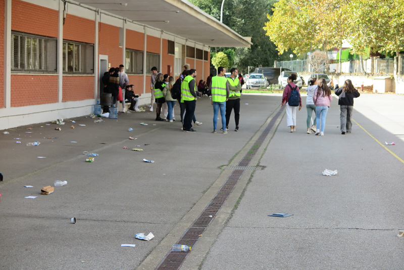 cshs_d (5)