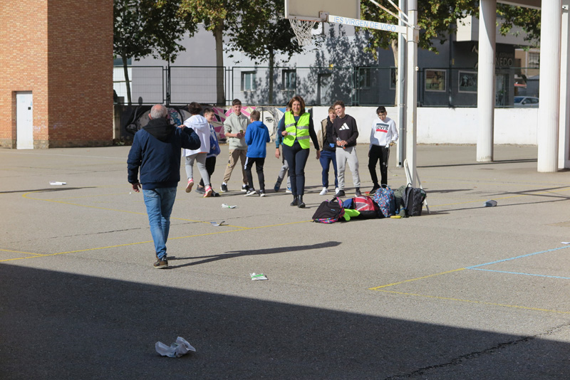 cshs_d (8)