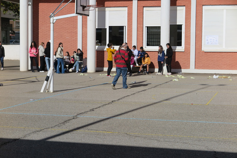cshs_d (9)