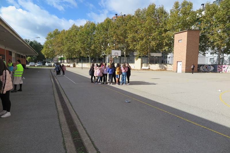 cshs_e (3)