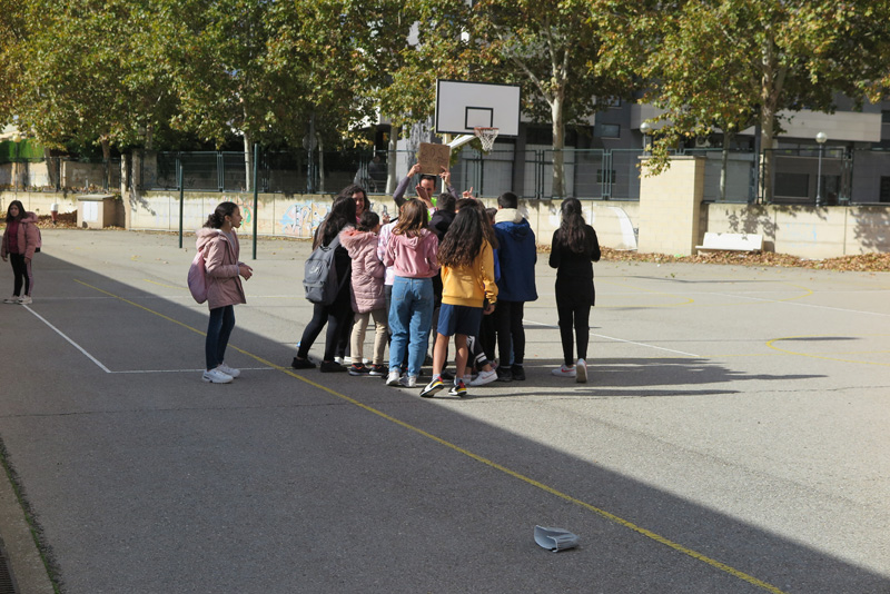 cshs_e (4)