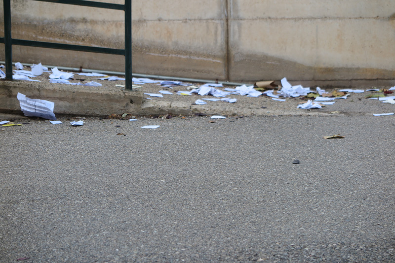 cshs_g (1)