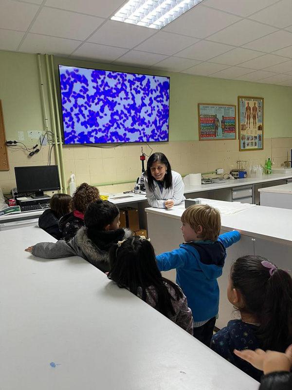 lab (1)