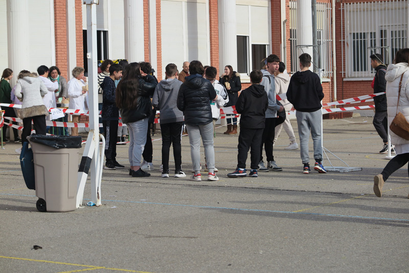 paz_d (5)