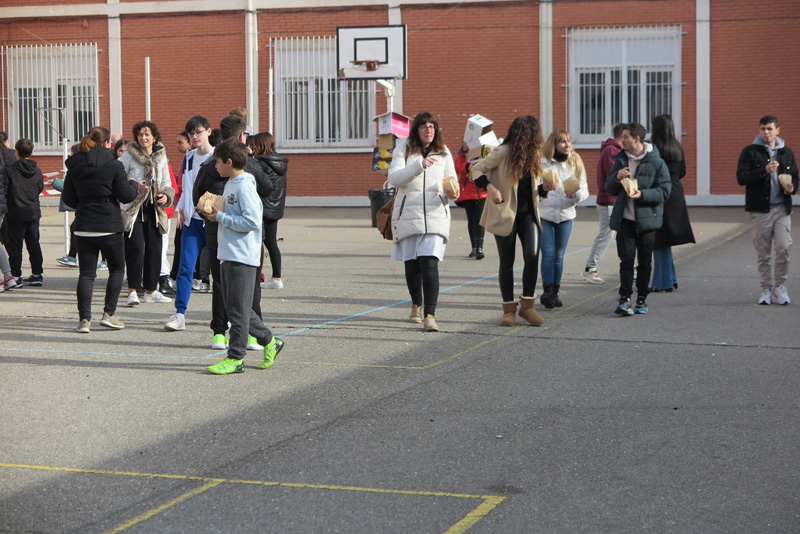 paz_d (6)