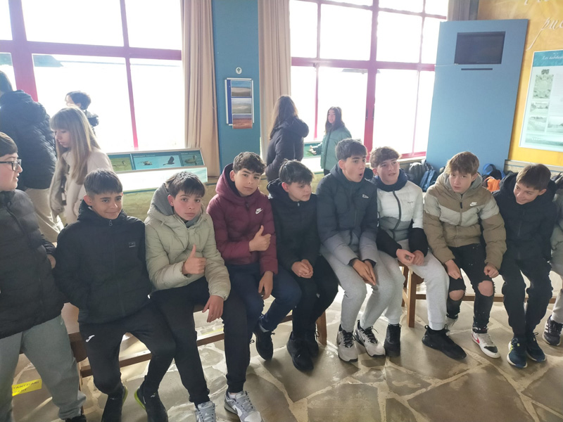 olite_a (10)