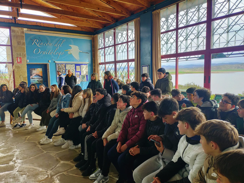 olite_a (3)