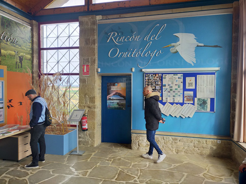 olite_a (7)