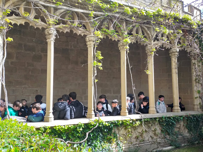 olite_c (1)